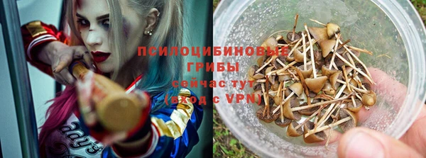 а пвп мука Балабаново