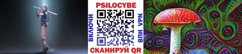 Купить где  Нижний Ломов  Псилоцибиновые грибы Cubensis 